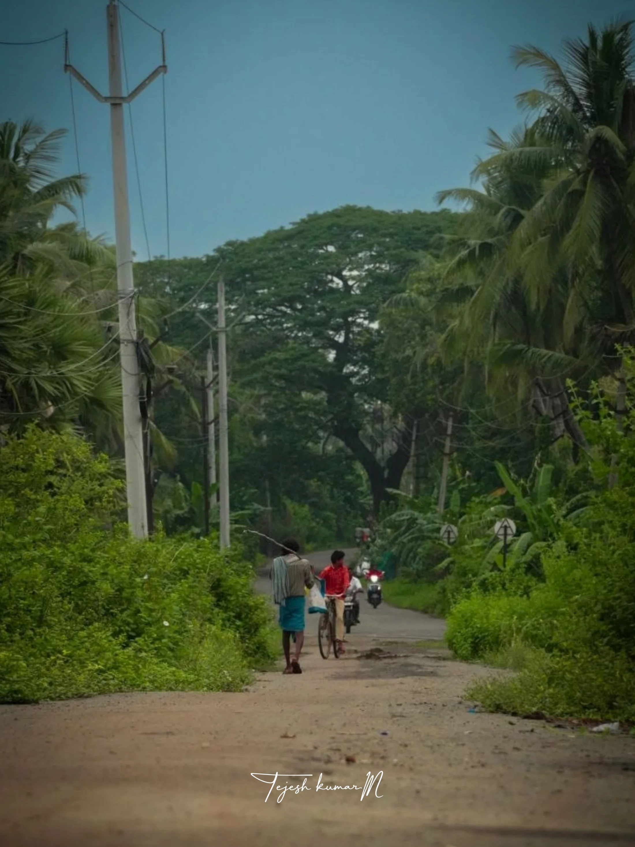 People walking on a quiet tree-lined road