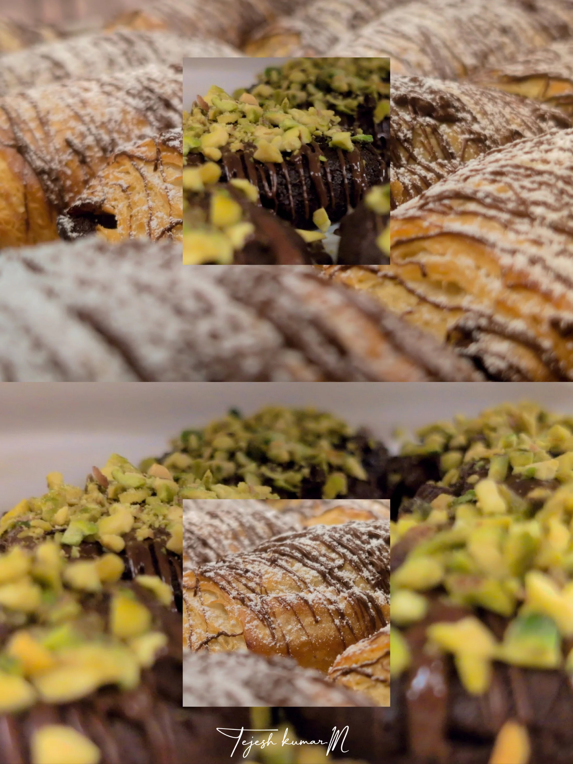 A collage of close-up natural textures and tiny plants